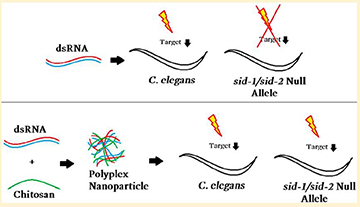 Nanocarriers for Delivery of MA for MA Interference Technology to Increase Sustainability of Food Production Process
